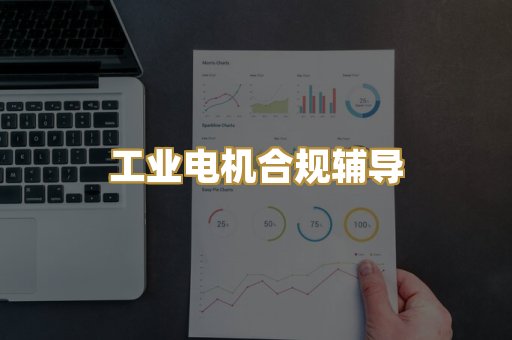 工业电机合规辅导