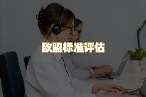 欧盟标准评估